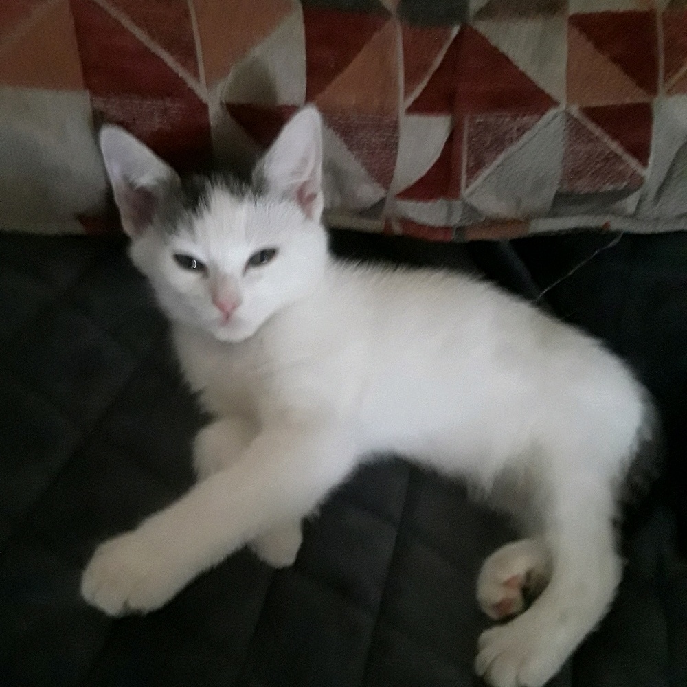 Meet your Posher, Mary